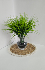 Осока / Арт 5001