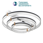 Потолочная светодиодная люстра Modelight MDL.1059.830CL WH