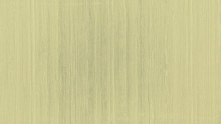 Акация светлая Е1201-Н8Р