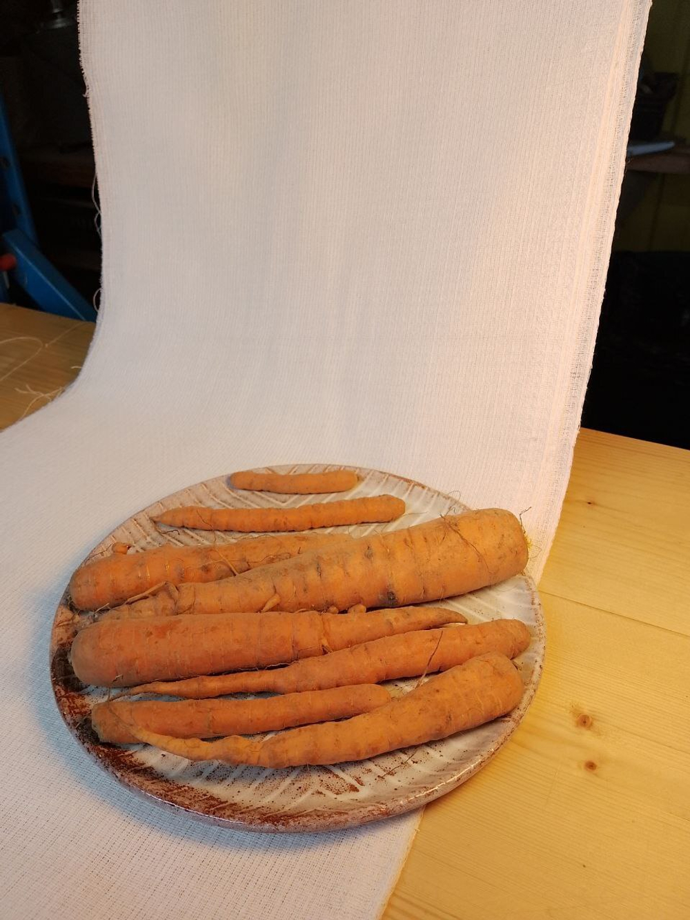 Морковь некондиционная