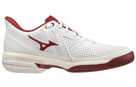 Женские Кроссовки теннисные Mizuno Wave Exceed Tour 5 AC - white/cabernet/papyrus