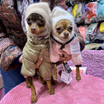 1924 DB Шапка "Гномик"