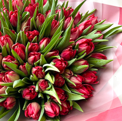 Букет из 101 красного пионовидного тюльпана