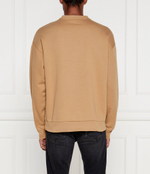 Худи Iceberg - коричневый(245 I1P E05D 6317)