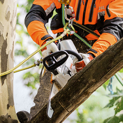 Мотопила Stihl MSA 161 T 10" без аккумулятора и ЗУ