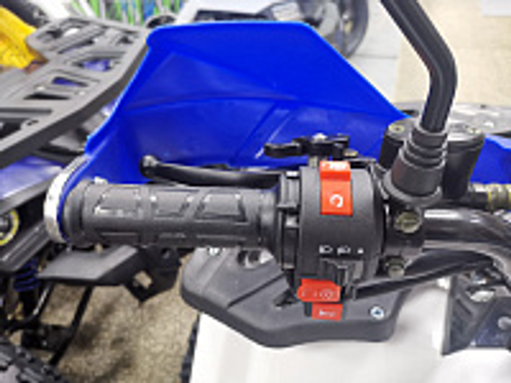 Квадроцикл PROMAX WILD 175 LUX