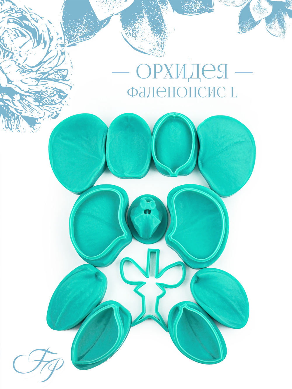 Орхидея Фаленопсис L