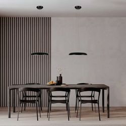 Подвесной светильник Loft it Dime 10371P Black