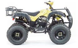 Квадроцикл MOTOLAND 250 Adventure (2021 Г.)