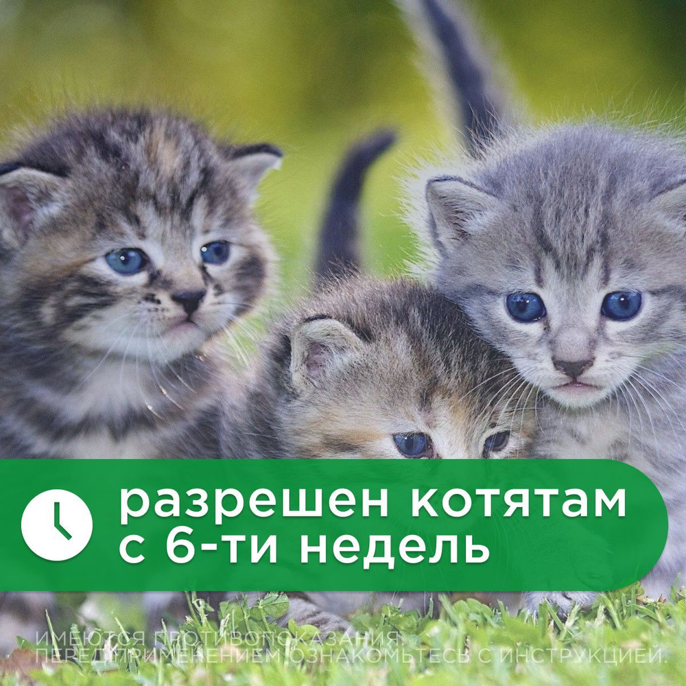 таблетки от гельминтов Милпразон для кошек более 2кг - 2 табл./уп.