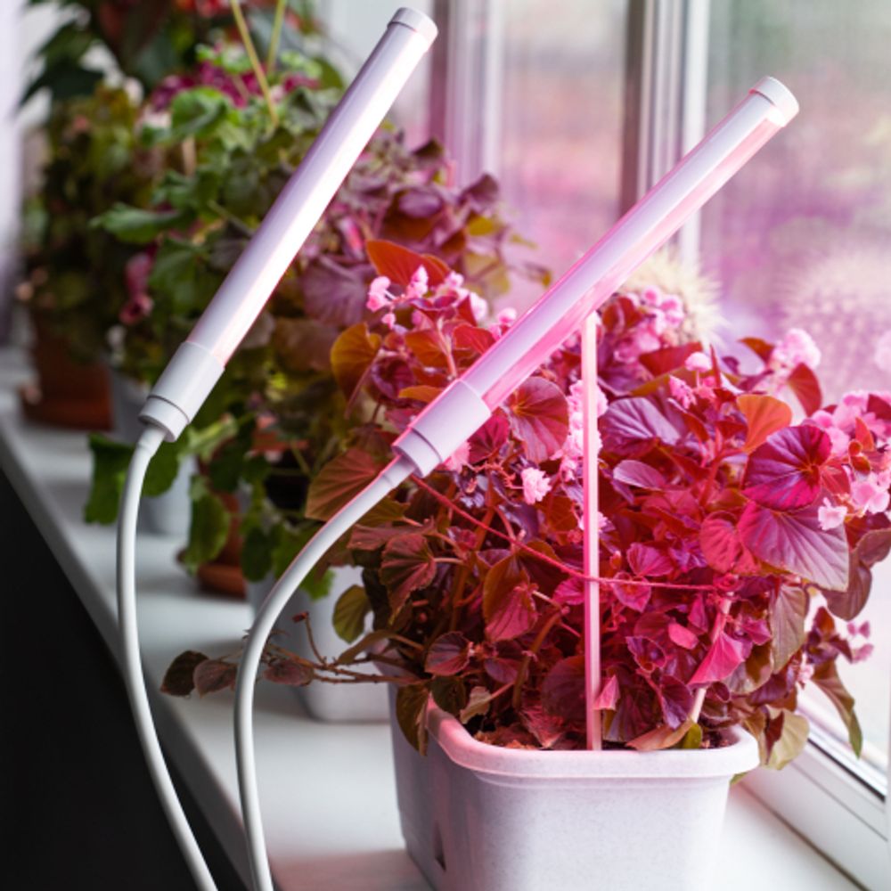 Светильник для растений на прищепке ЭРА FITO-20W-АLED-L полного спектра 12 Вт белый | Интерьерные фито светильники