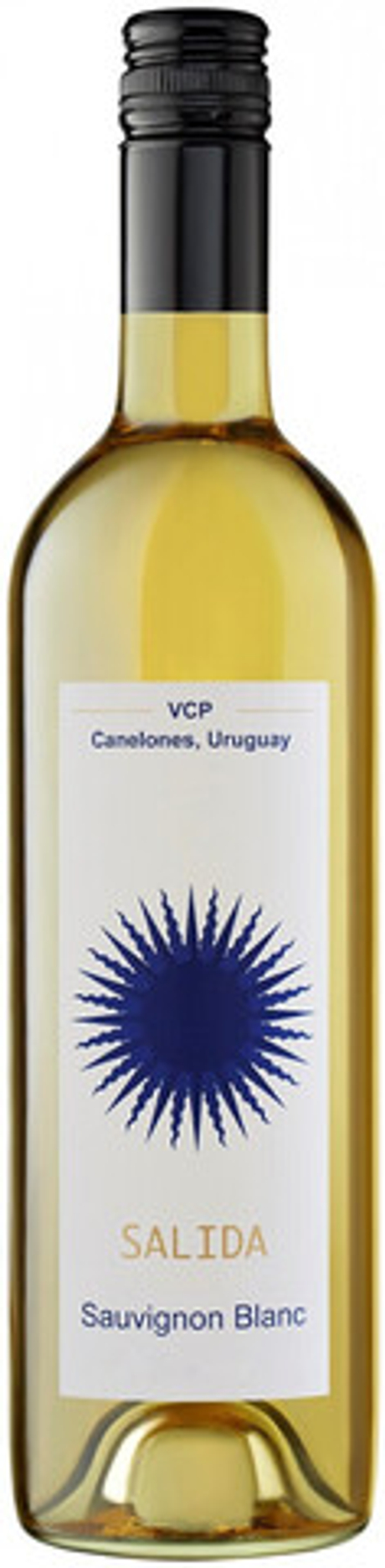 Вино Салида Совиньон Блан