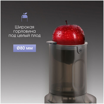 Соковыжималка ZIGMUND & SHTAIN ESJ-771