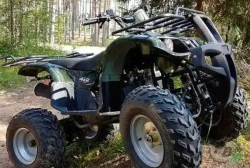 Квадроцикл WELS Thunder 200