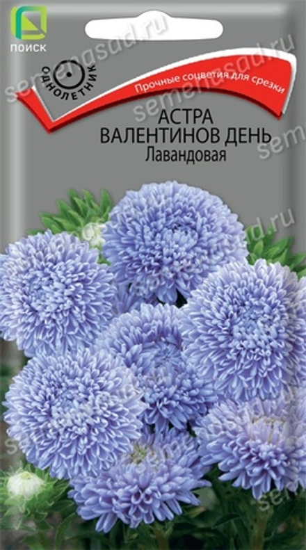 Астра Валентинов день Лавандовая 0,2гр. (Поиск)