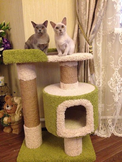 Домик для кошки Д-6