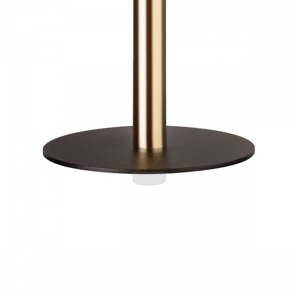 Подвесной светильник Loft it Reed 10358/830 Disk AB