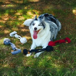 Игрушка для собак Перетяжка с мячом COTO 36 см M-Pets