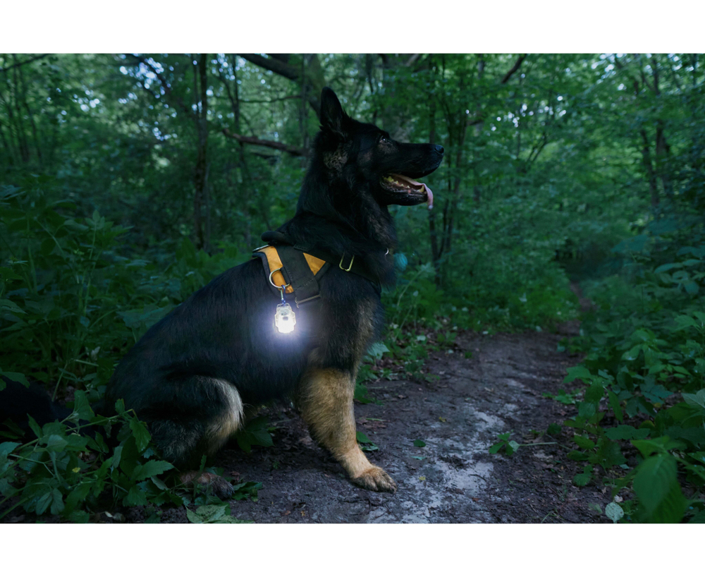 Мультифонарь Armytek Crystal Pro IR Grey (F10201GIR)