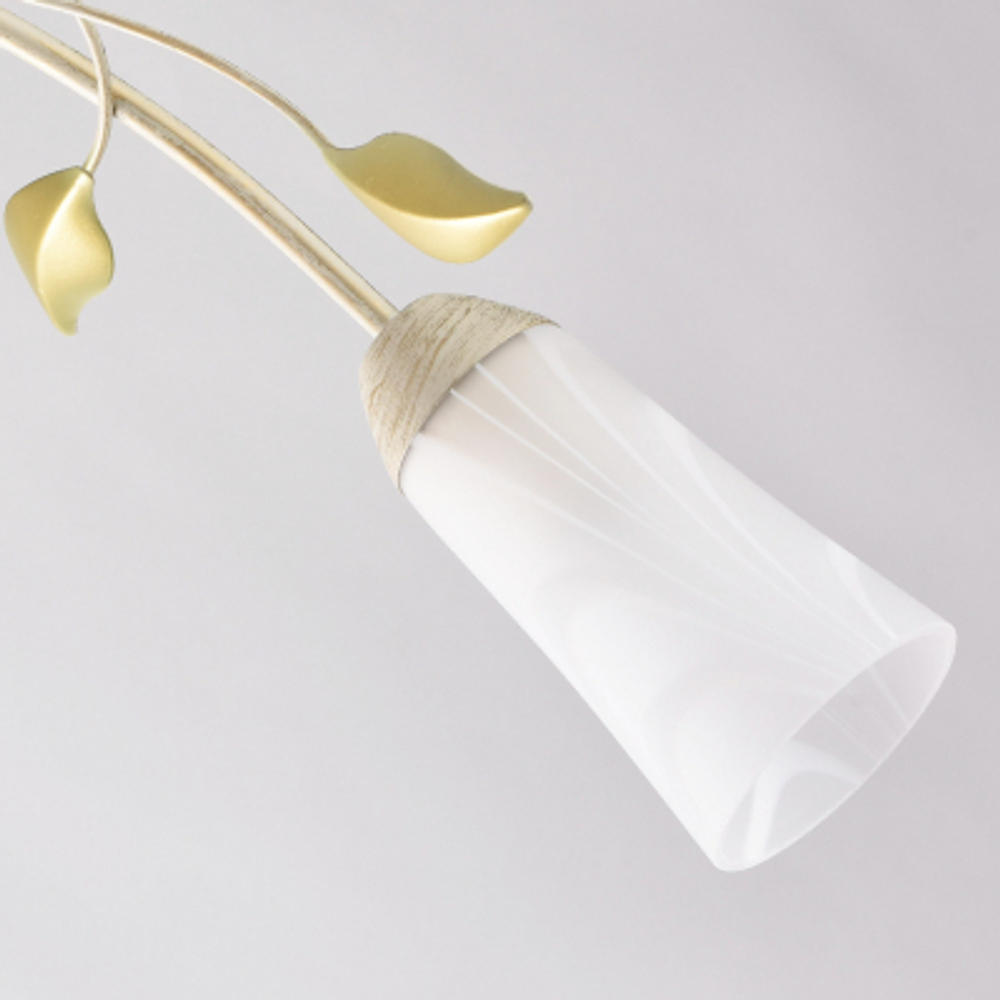 Люстра MW-Light 242015306 6/60w e14