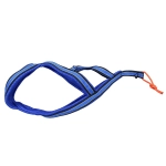 ездовая шлейка для собаки синяя