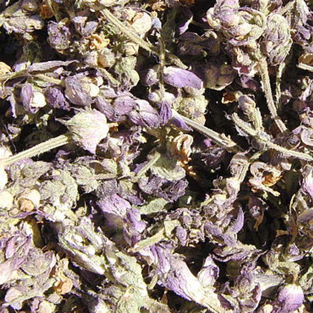 Шалфея трава, 50 гр, Рецепты Гордеева