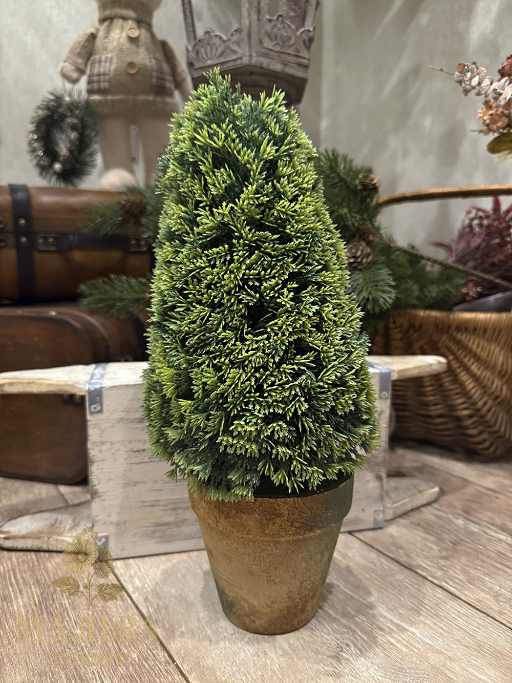 Туя в кашпо декоративная 15x15x36 см