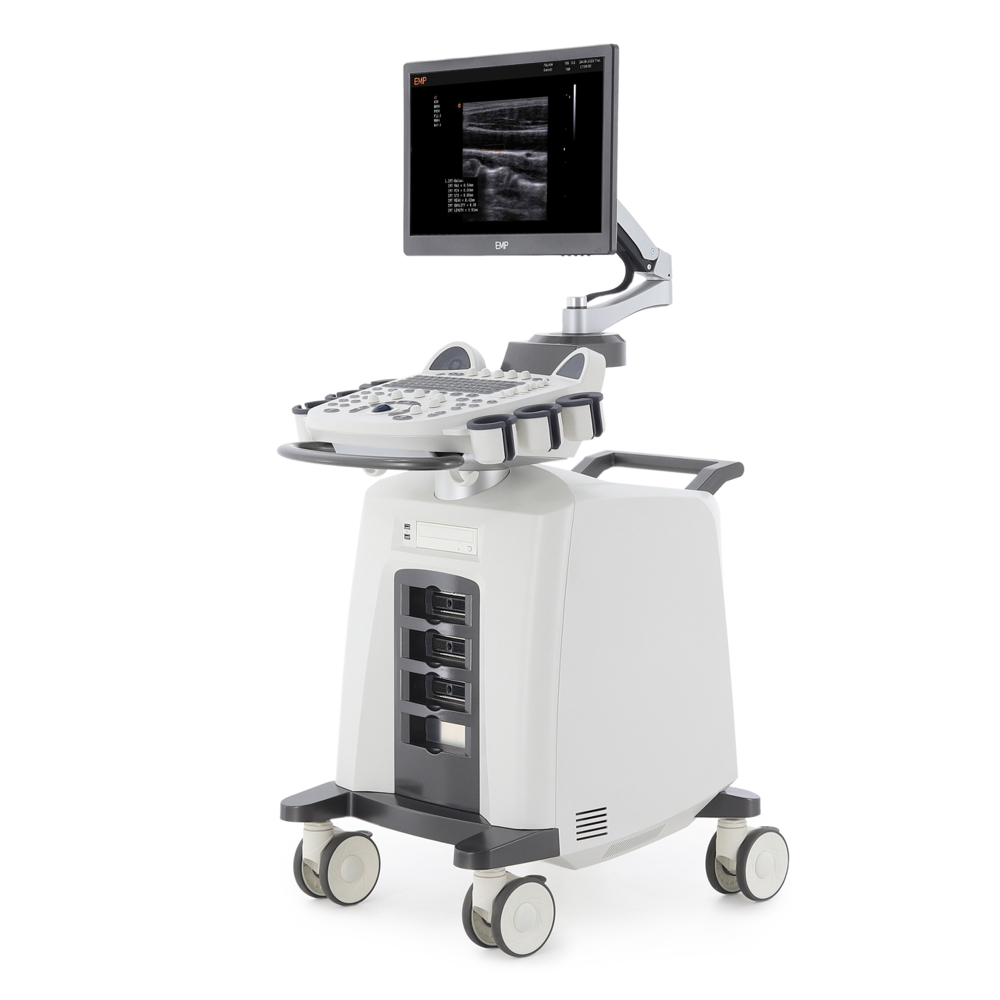 Аппарат ультразвуковой диагностики Med-Mos ЕМР3000