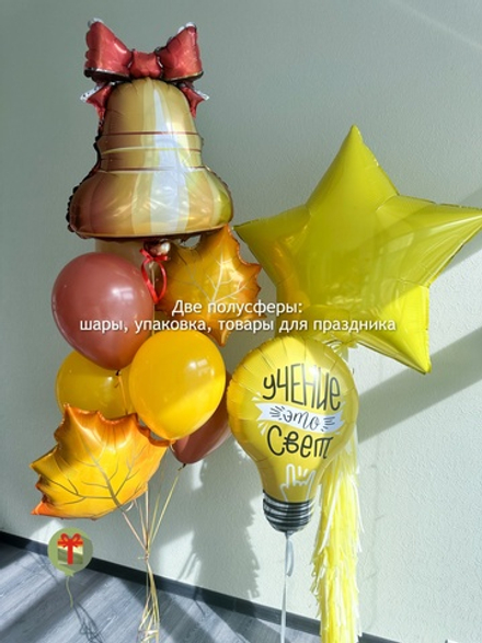 Набор шаров Ученье свет
