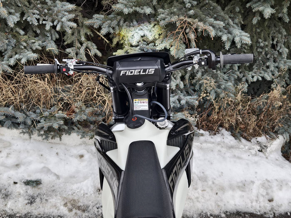 Эндуро мотоцикл Fidelis ESH 300