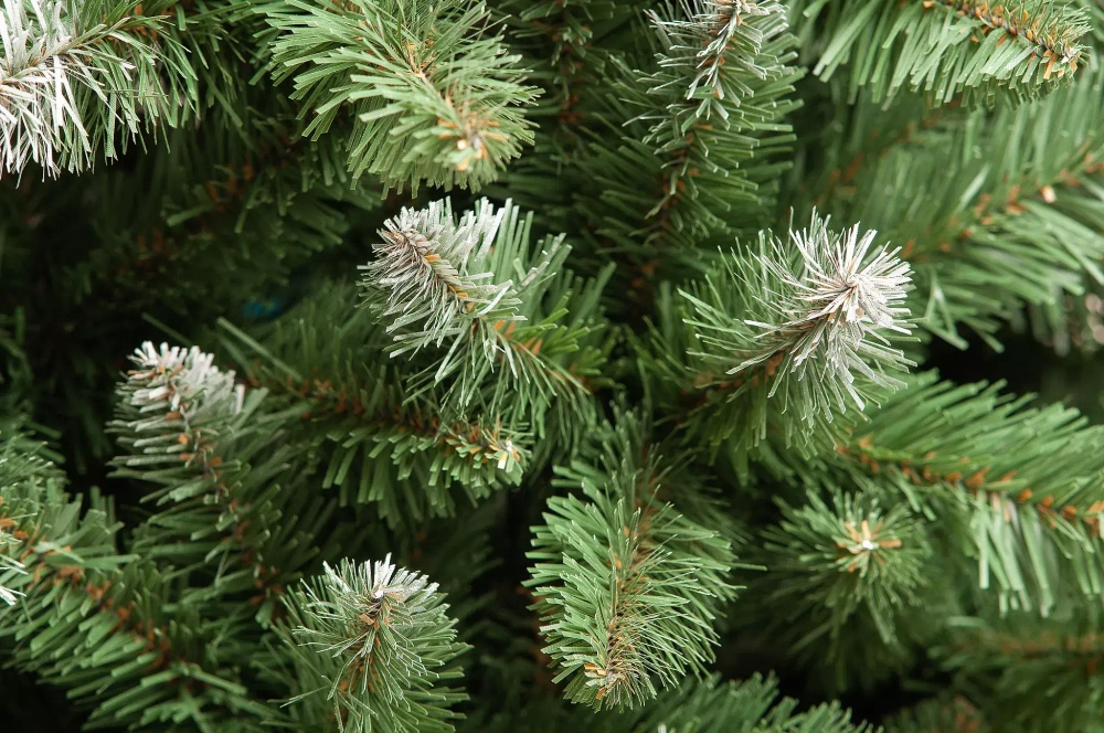 Искусственная елка Изящная заснеженная 210 см., мягкая хвоя, ЕлкиТорг (122210)