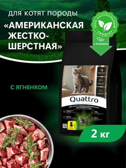 Корм сухой для котят породы Американская жесткошёрстная, с ягненком, 2кг, QUATTRO