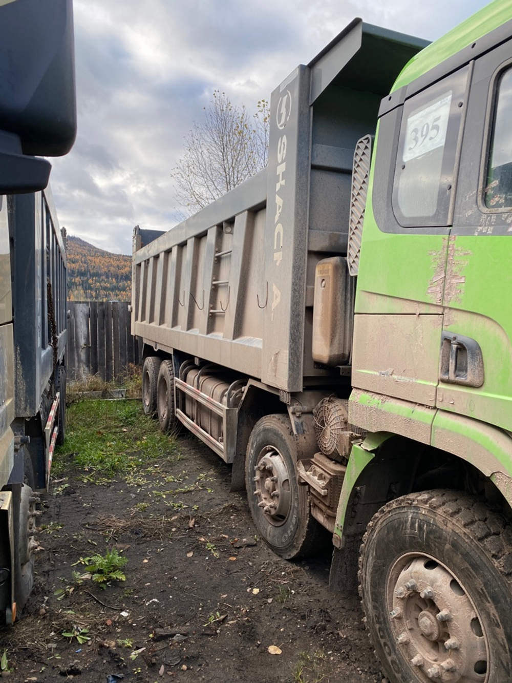 Shacman (Shaanxi) SX* 8x4 Самосвал SX33186V366 (Дизельный, 11,6 л, 423 л.с., МТ)