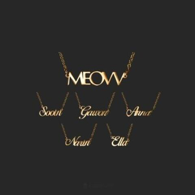 товары MEOVV - MY EYES OPEN VVIDE MD NAME PLATE NECKLACE