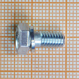 Болт 5х10 с гровером регулятора давления (ОАО «БелЗАН») (уп25\50шт)