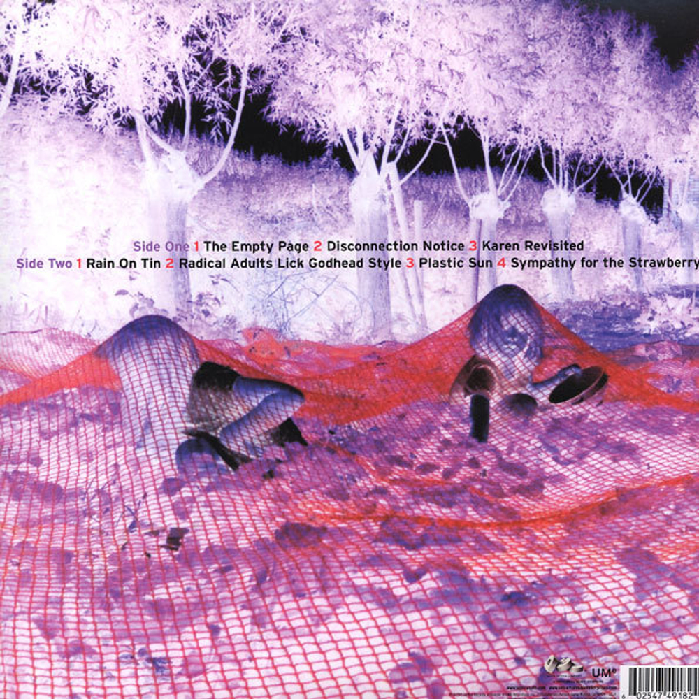 Sonic Youth / Murray Street (LP)