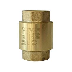 Клапан обратный резьбовой РИДАН NRV-R DN15 PN25