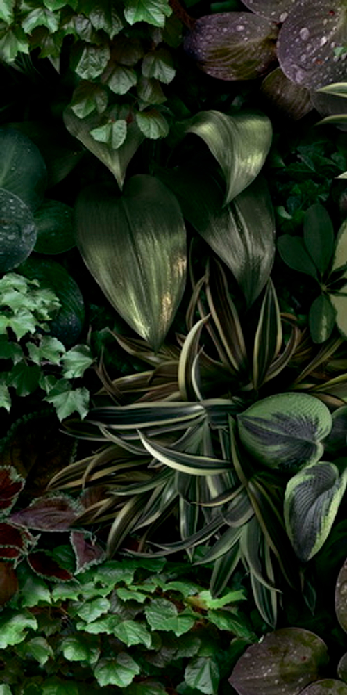 Декоративные элементы 41zero42 PAPER41 PRO JANE B 50х110