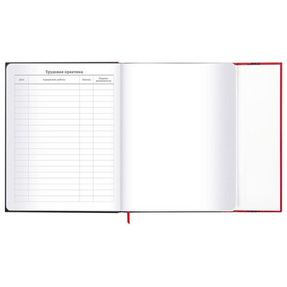 Дневник 1-11 класс 48 л., твердый, BRAUBERG, матовая ламинация, магнитный клапан, закладка-ляссе, с подсказом, "Авто", 107246