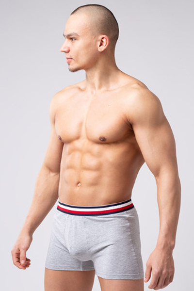 Мужские трусы R-124 Серый