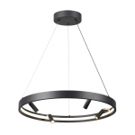 Подвесная люстра Odeon Light FONDA 4317/58L