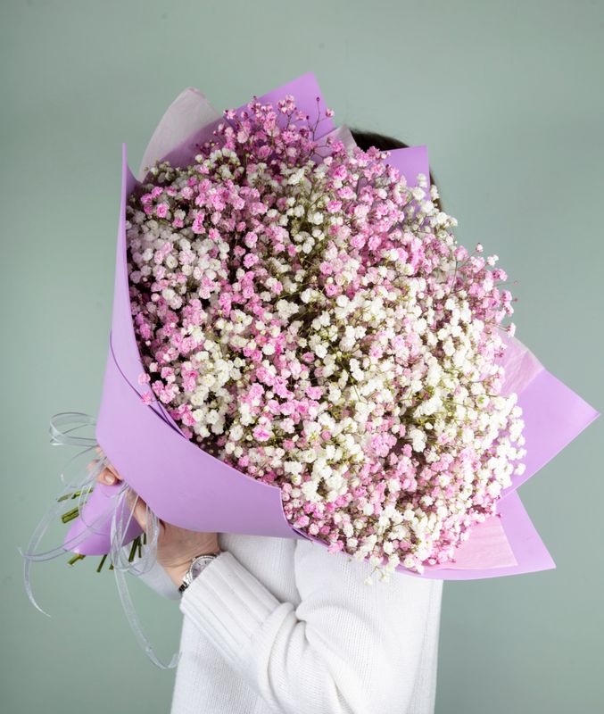 Букет из розовой и белой гипсофилы