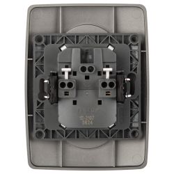 Розетка ЭРА Серия 12 12-2107-16 , 2X2P, 16А-250В, титан