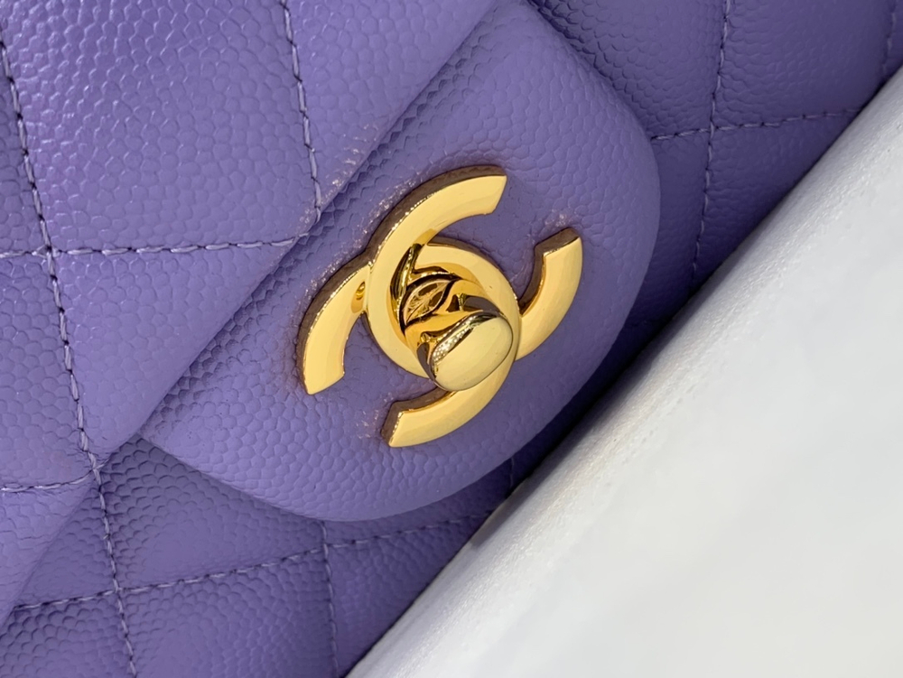 Chanel Bag 20 cm