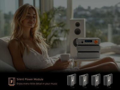 Усилитель для акустики Burson Audio Timekeeper GT4 Standard