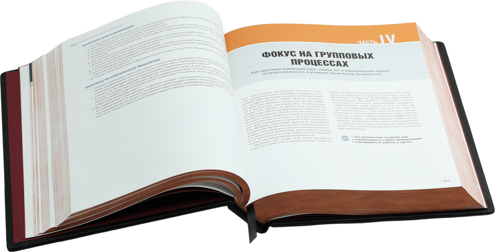 Психология спорта. Фундаментальные основы