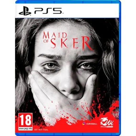 PS5 Maid of Sker PPSA-02966 (Б/У, Русские субтитры)