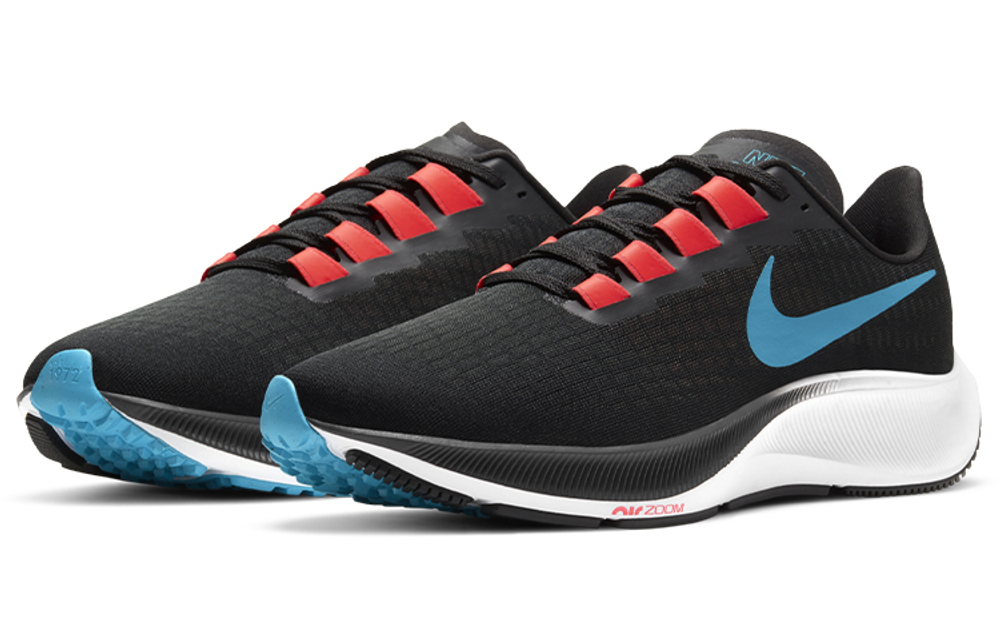 Кроссовки Nike Pegasus 37 Tpu