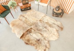 шкура декоративная