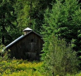 Лесная хижина, ароматизатор для свечей, мыла, бомбочек  10 мл США